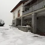 The Owl