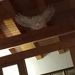 The Owl Antey-Saint-André