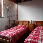 The Owl Villa