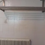 The Owl