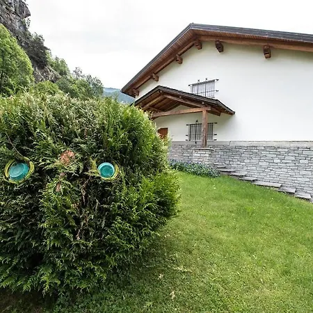 The Owl Villa *