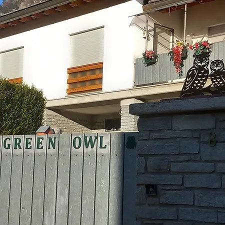The Owl *