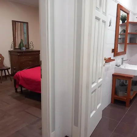The Owl Villa