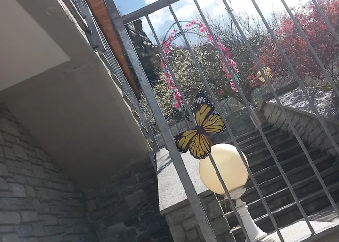 The Owl Antey-Saint-André